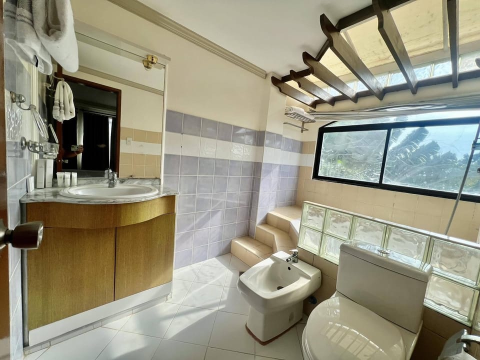 Luxury Penthouse | Bathroom | Free toiletries, hair dryer, slippers, bidet