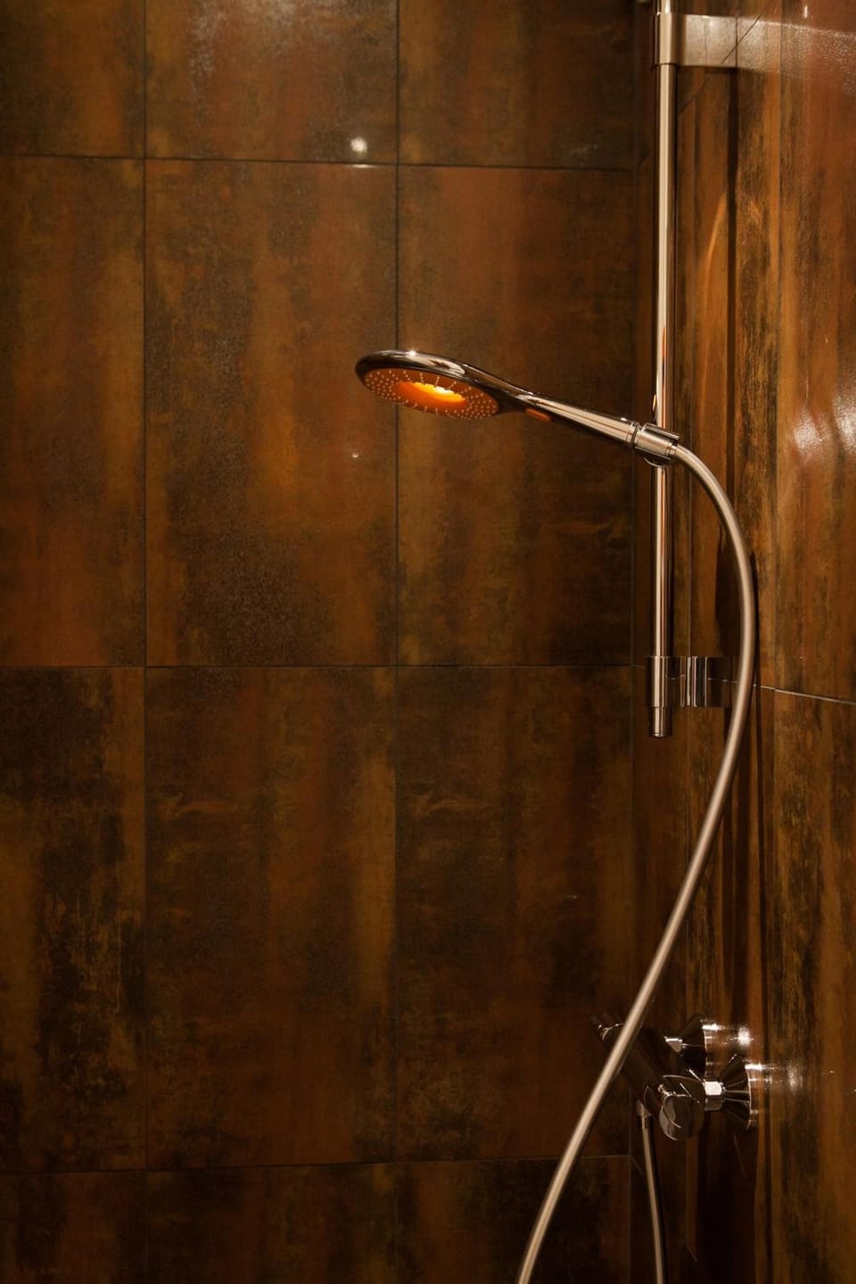 Eco-friendly toiletries, hair dryer, towels, soap