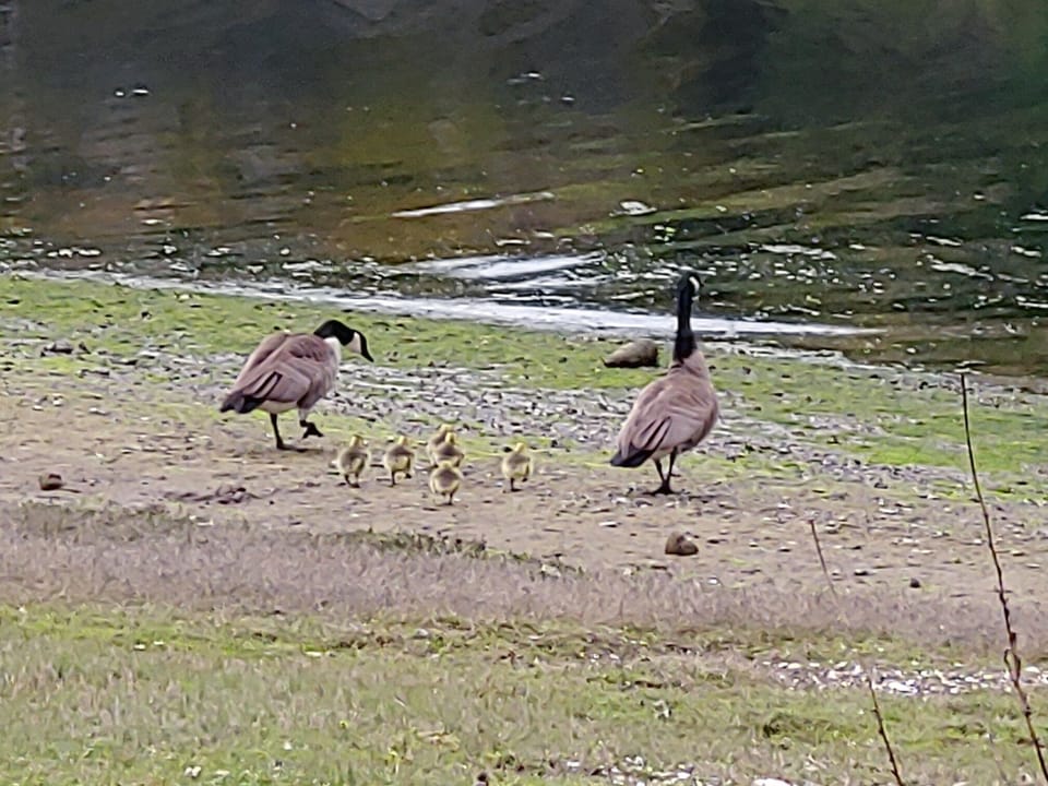 our local Air Force trainees
