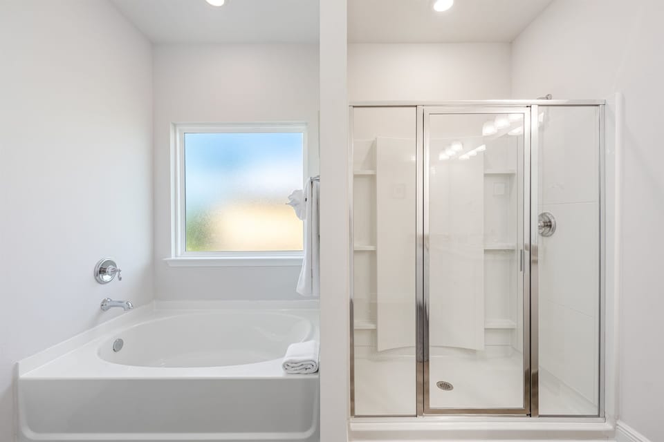 Master bathroom with separate shower and bath tub