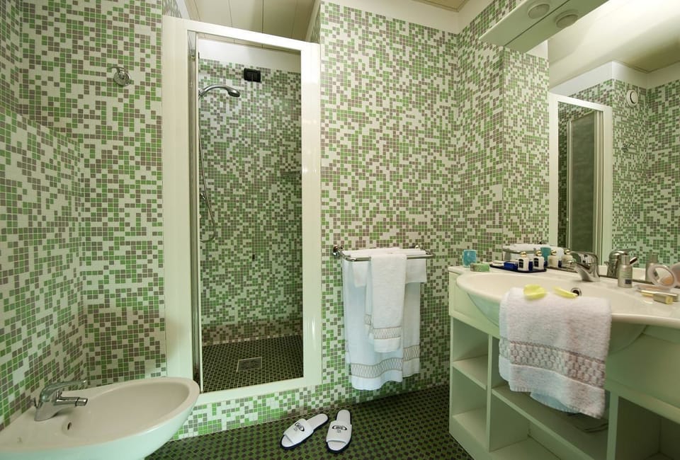 Shower, free toiletries, hair dryer, slippers