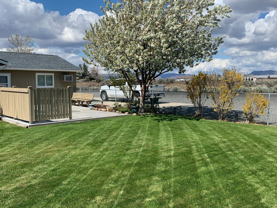 The lawn is beautiful to lay out a blanket and enjoy