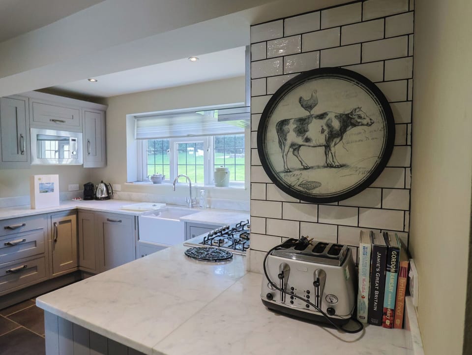 Fridge, dishwasher, cookware/dishes/utensils