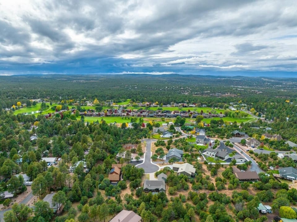 The aerial view shows how much forest wraps around this stretch of the neighborhood, treetops in every direction. It's easy to feel like you've left the rush of daily life behind.