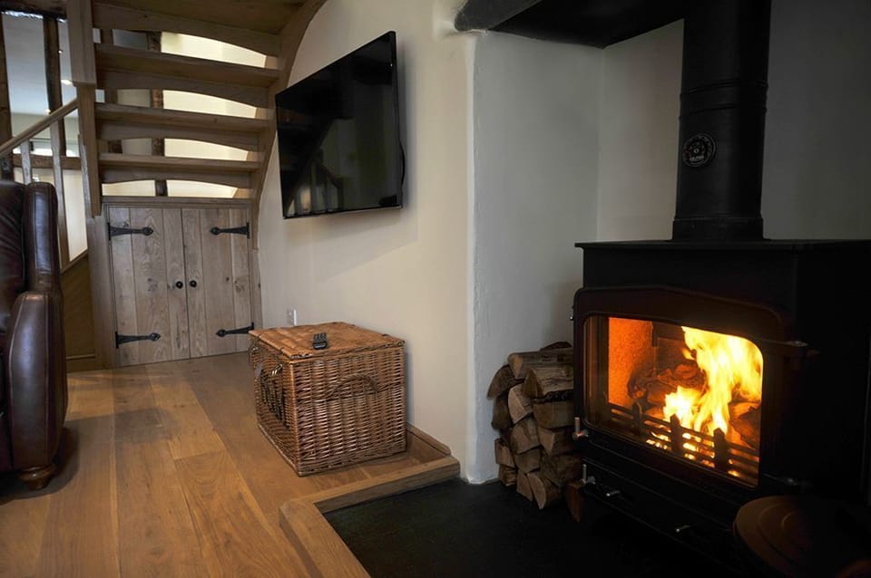 No. 2 The Forge log burning stove