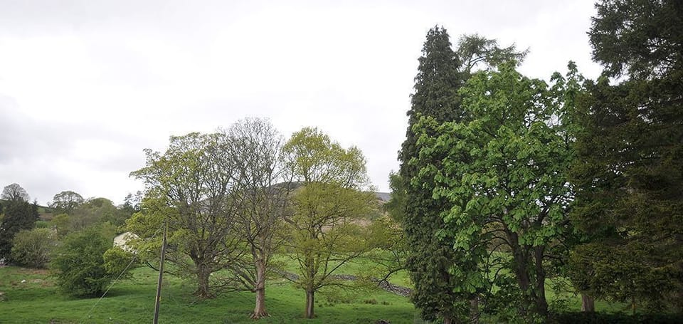 Mountain view from No.2 The Forge in Coniston