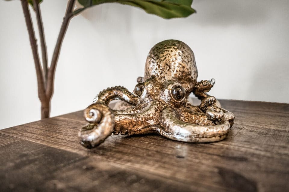 [Meet Octo!]