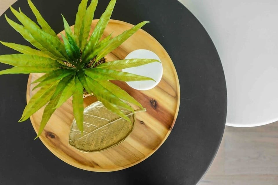 Modern beach house styling