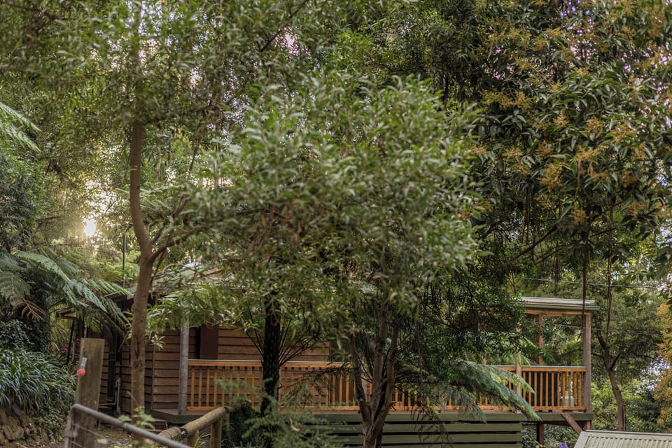 Fern House external