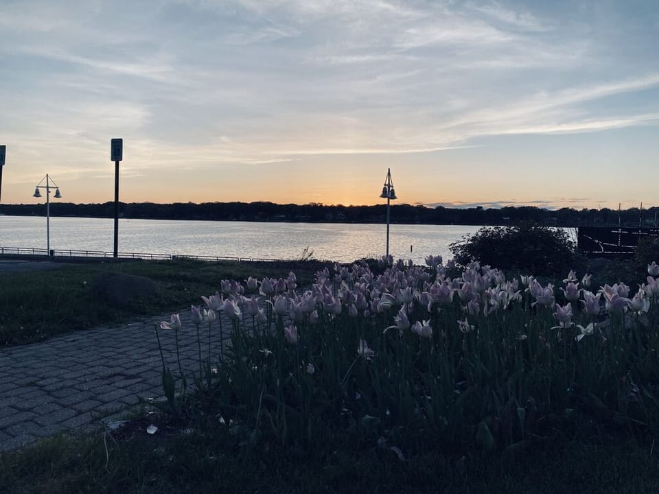 Nearby Kollen Park!!