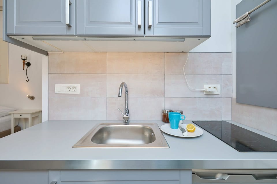 Apartment (0 Bedroom) | Private kitchen | Fridge, stovetop, toaster, freezer