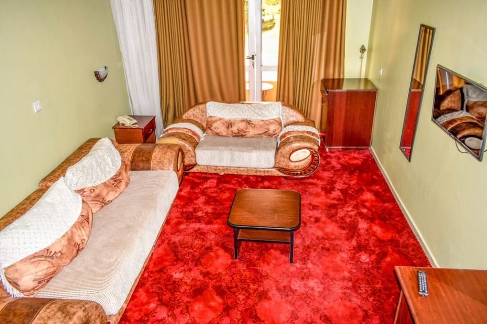 Deluxe Twin Room | Living area