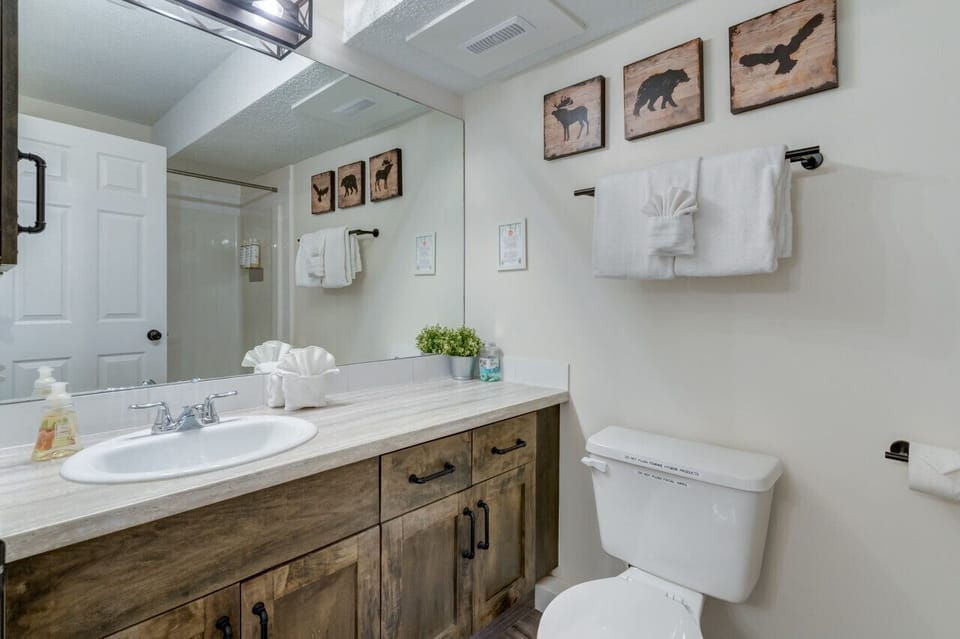 The bathroom is fully stocked for your stay.