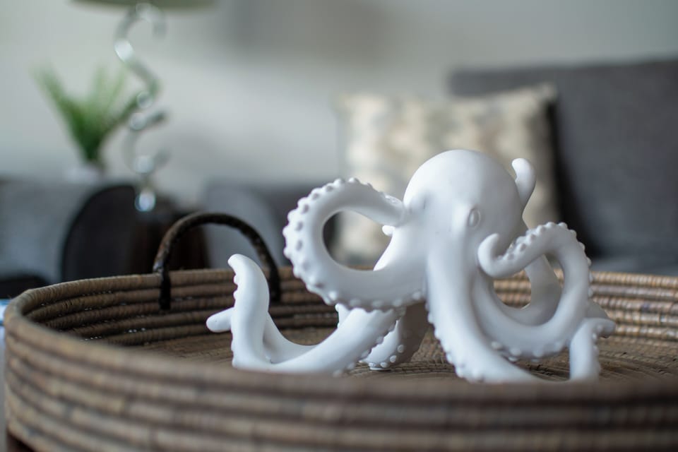 BriannaMariePhotography -37