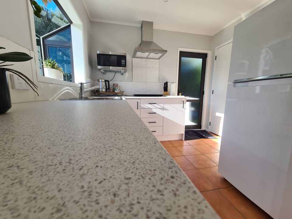 Kitchen space with a good sized fridge/freezer, with back door to close line