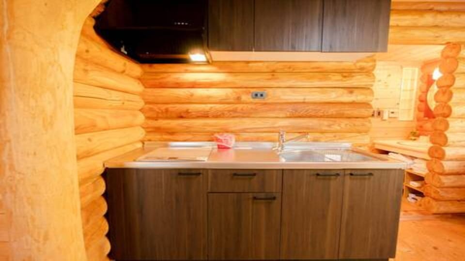 Townhome, 2 Bedrooms, Non Smoking, Lake View | Private kitchen | Fridge, microwave, stovetop, electric kettle