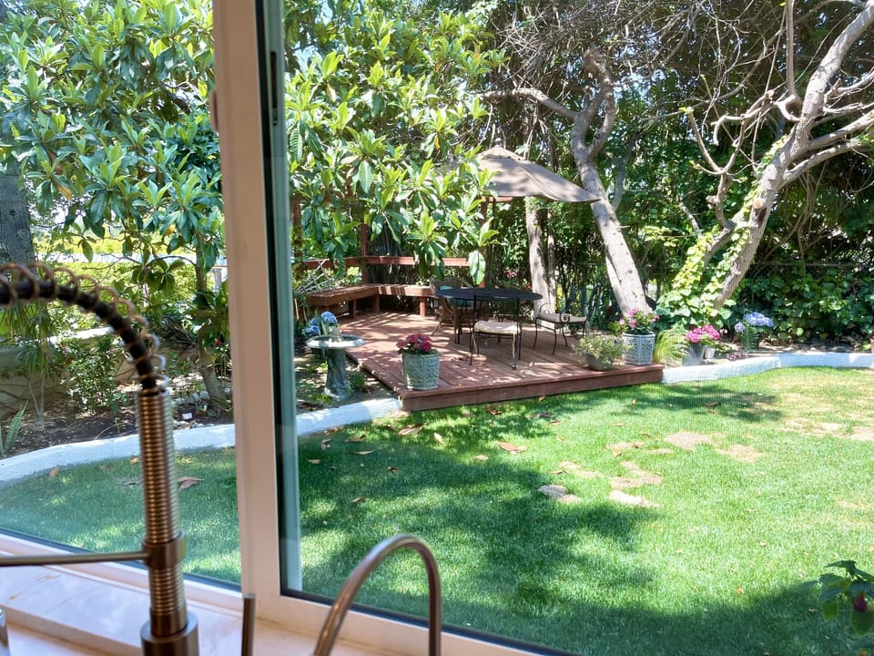 From kitchen window