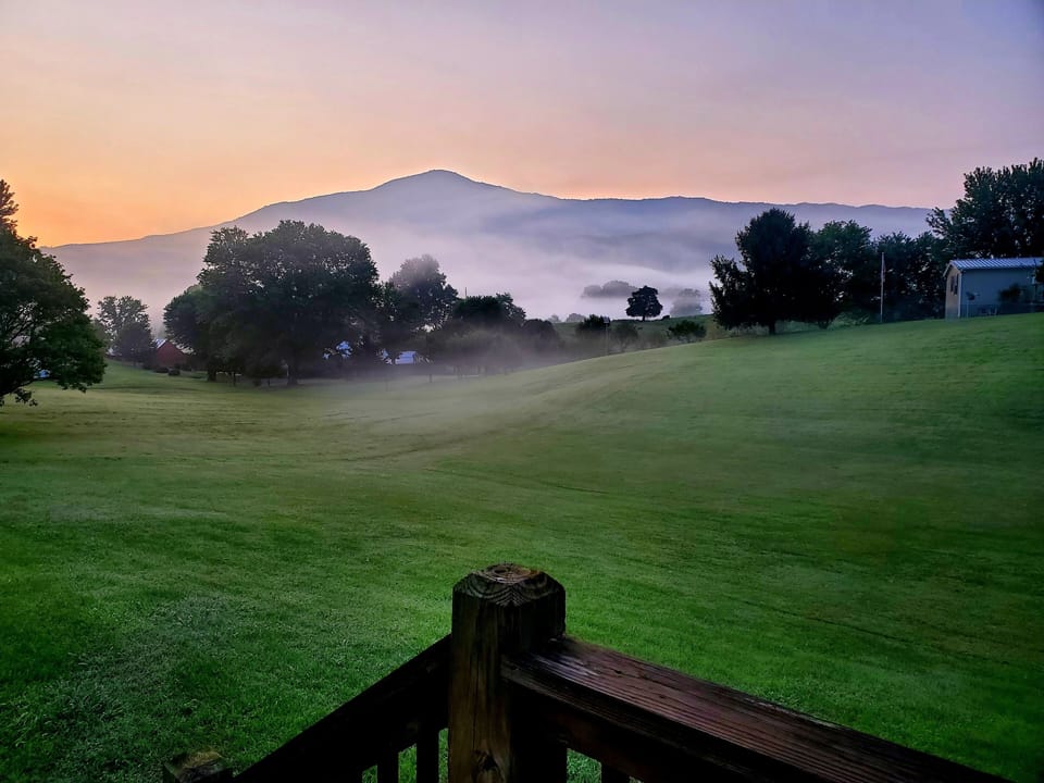 View of Cove Mountain from the back deck