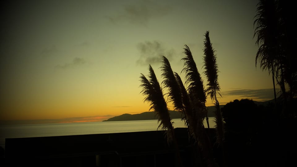 Kapiti Island 