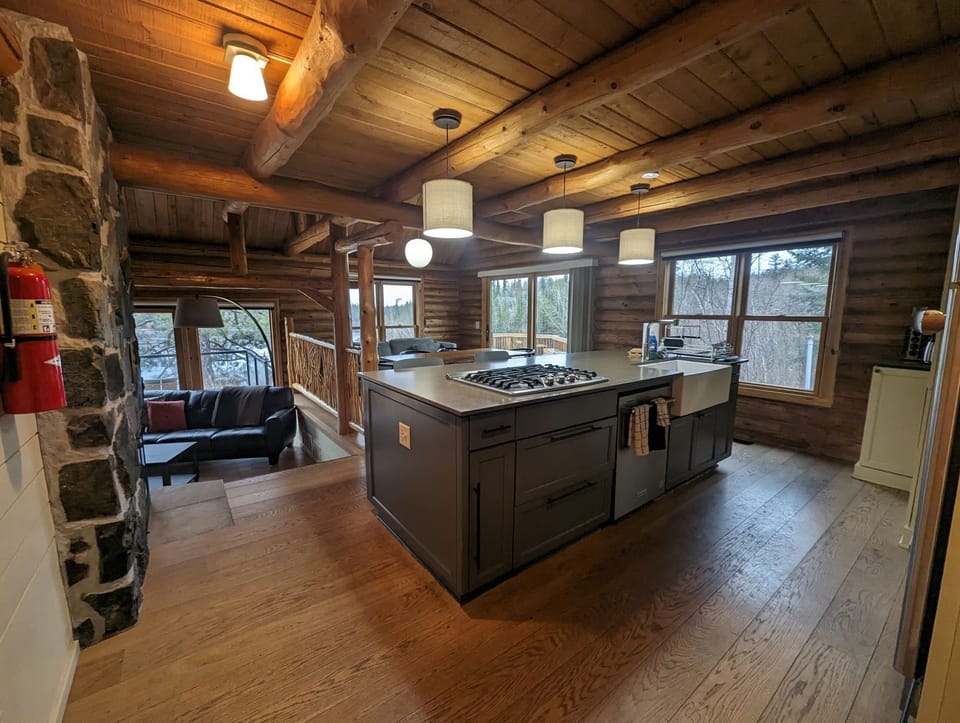 Premium Cabin | Private kitchen | Coffee/tea maker, fridge, highchair, dining table