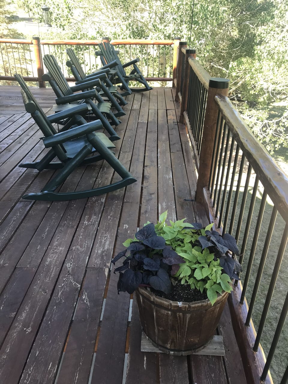 Plenty of outdoor seating