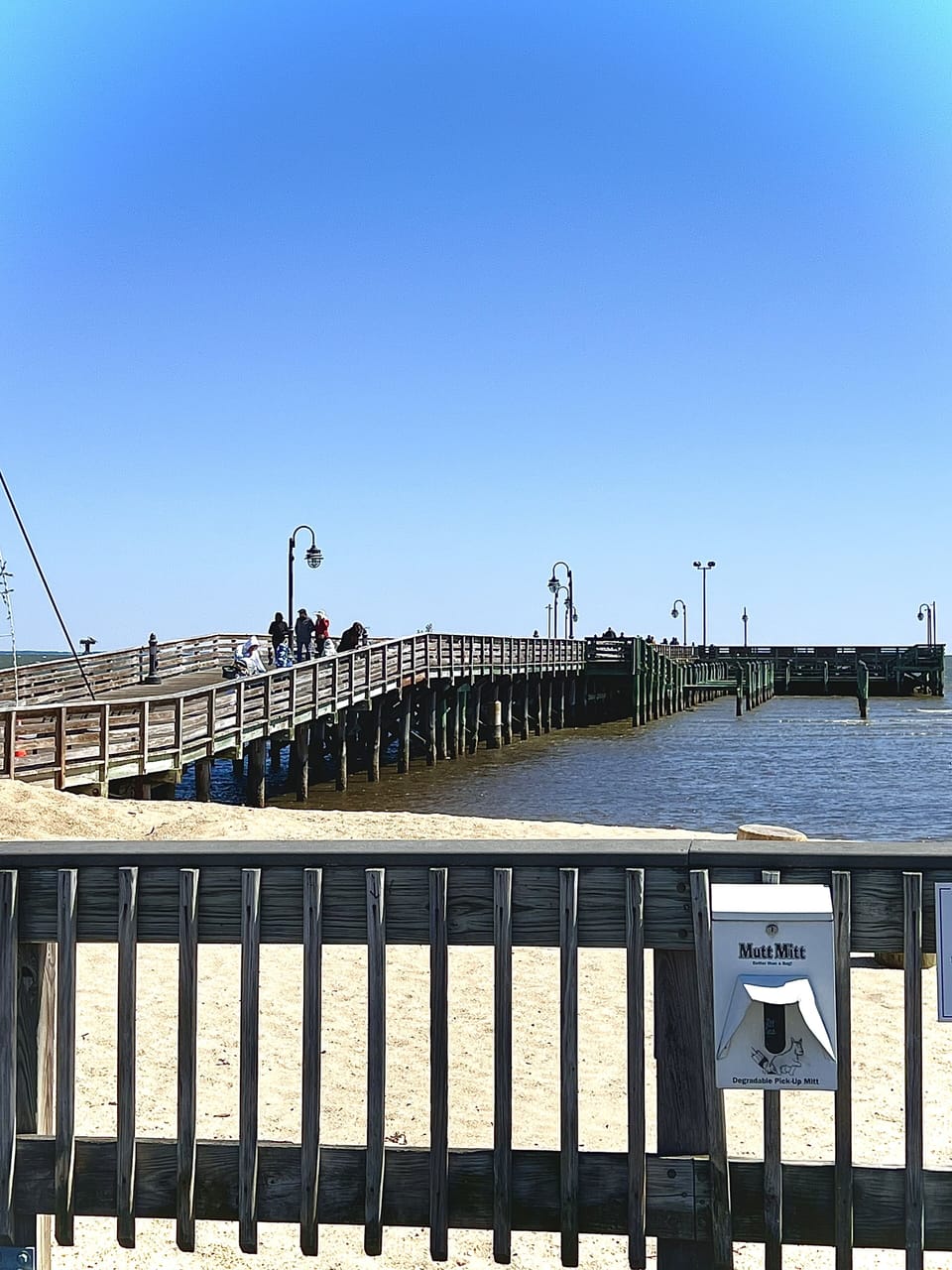 Pet friendly pier and boardwalk at North Beach