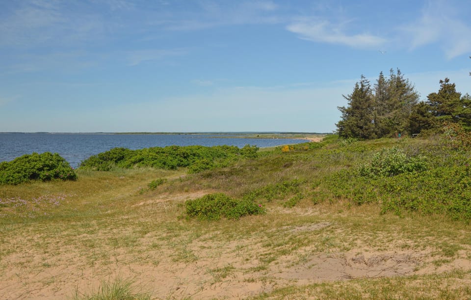 area