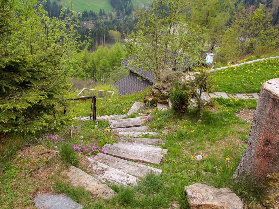Plant, Plant Community, Tree, Natural Landscape, Vegetation, Slope, Land Lot, Grass, Bedrock, Woody Plant