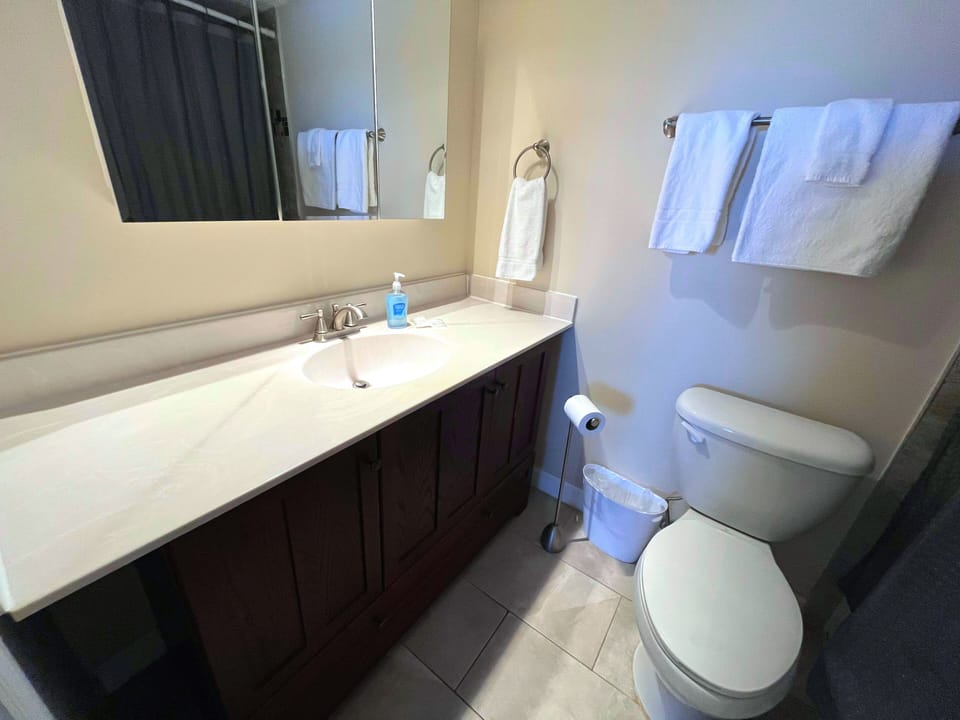 Master bathroom
