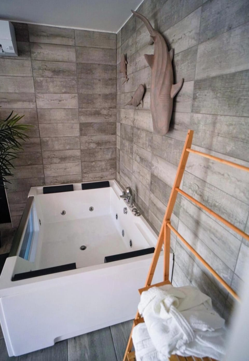 Magnificent apartment with whirlpool bath. Apartment in Saint-Cyprien