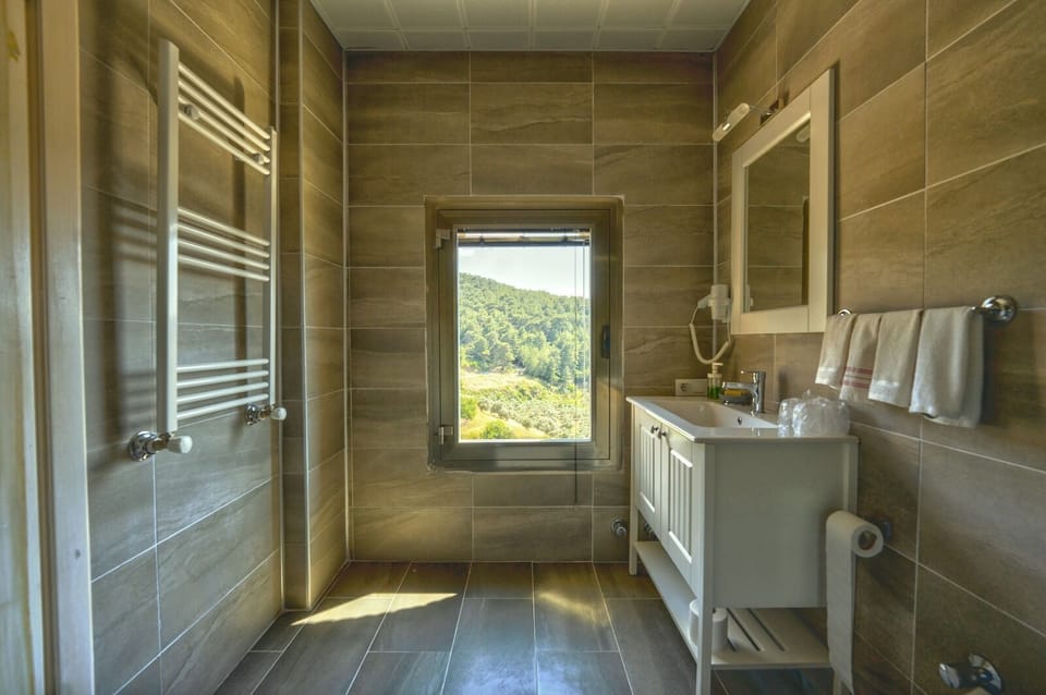 Deluxe Room | Bathroom | Shower, hair dryer, towels, soap