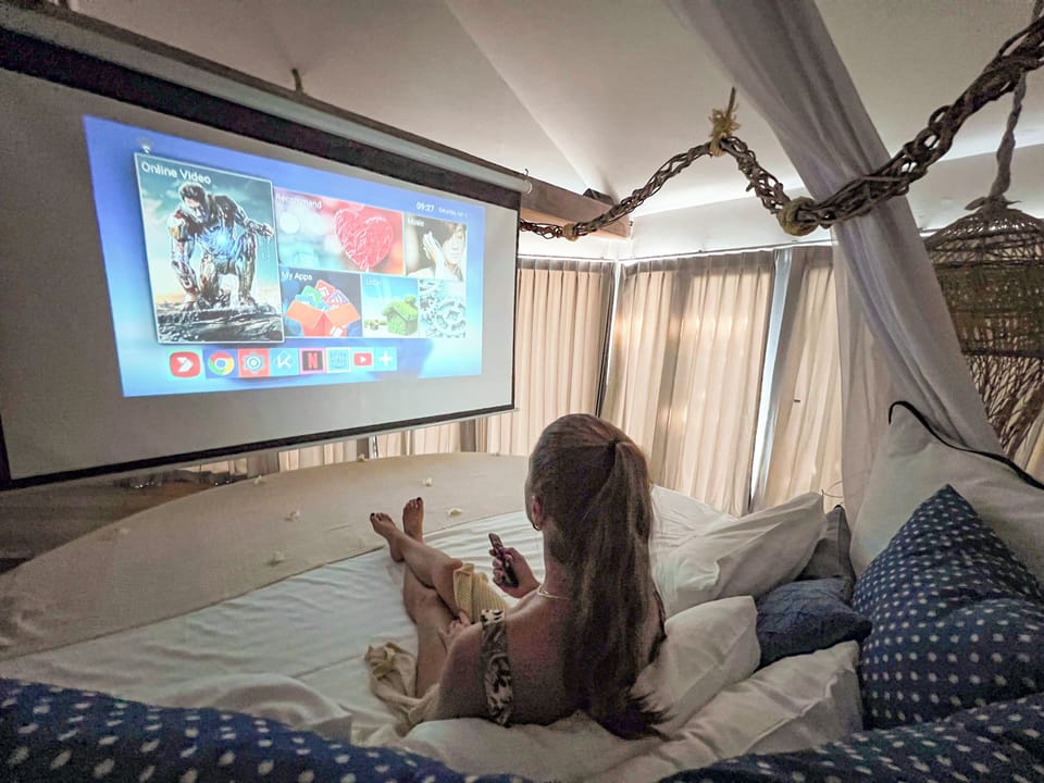 Smart private cinema with Netflix