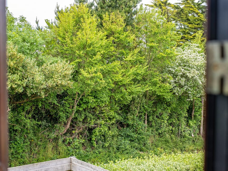 Cottage | View from property