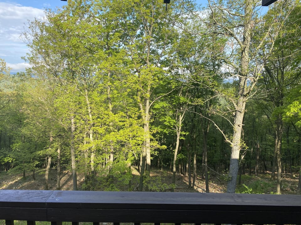 View from the deck and front of house