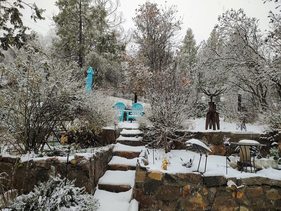 Winter snow
