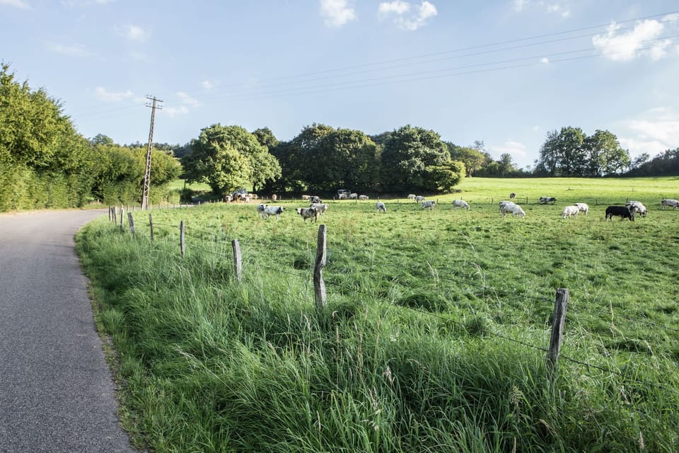 Region [summer] (>5 km)