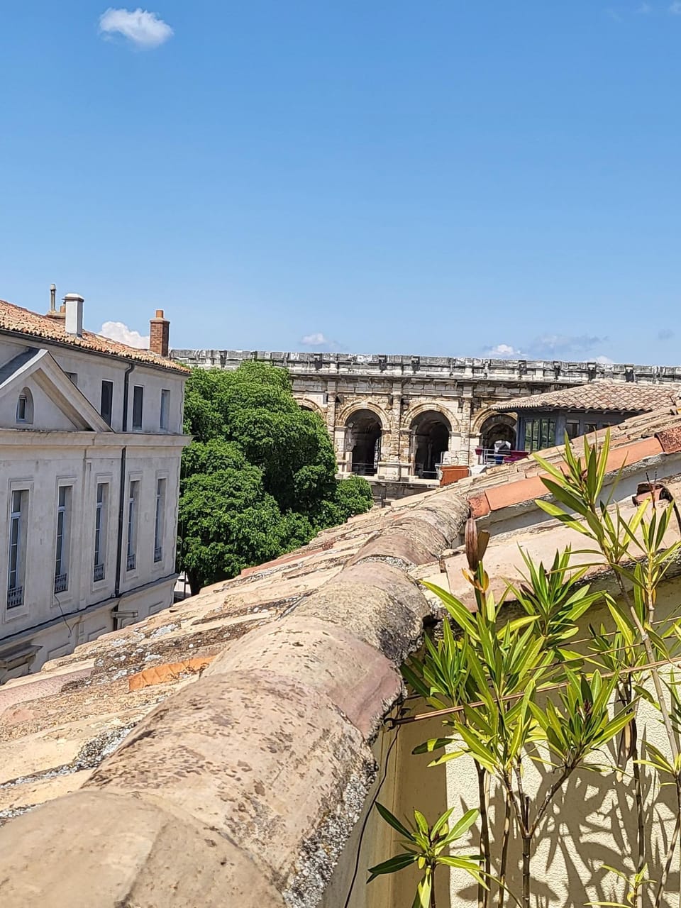 View from property