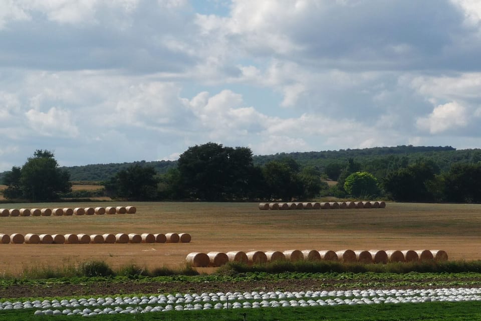 Immediate Surroundings [summer] (<1 km)