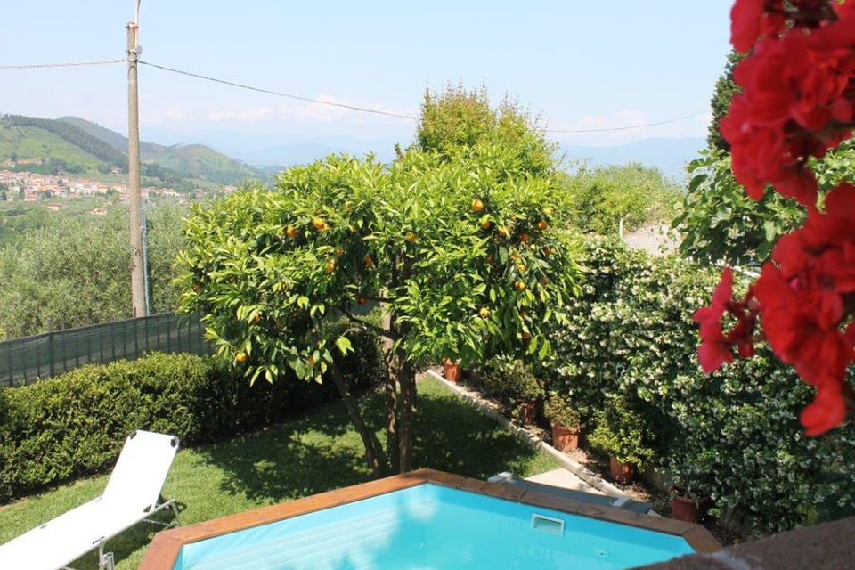Garden [summer]