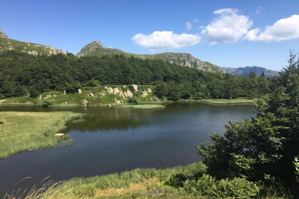 Region [summer] (>5 km)