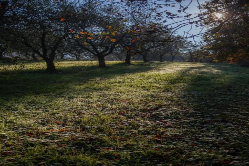 Region [summer] (>5 km)