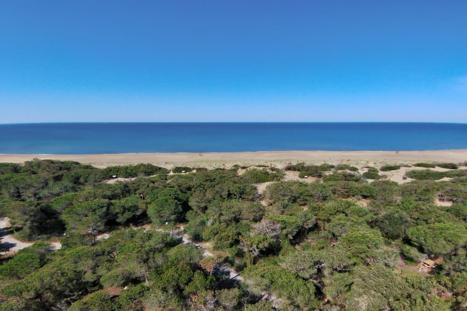 Holiday Home Facilities and Services