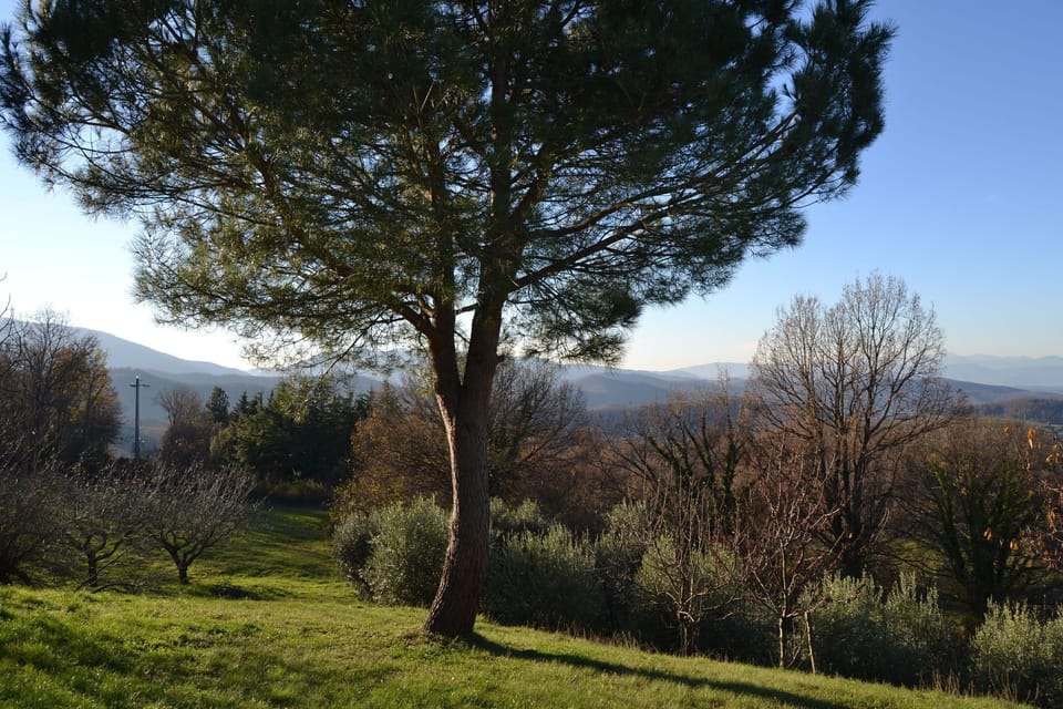 View from Holiday Home [summer]
