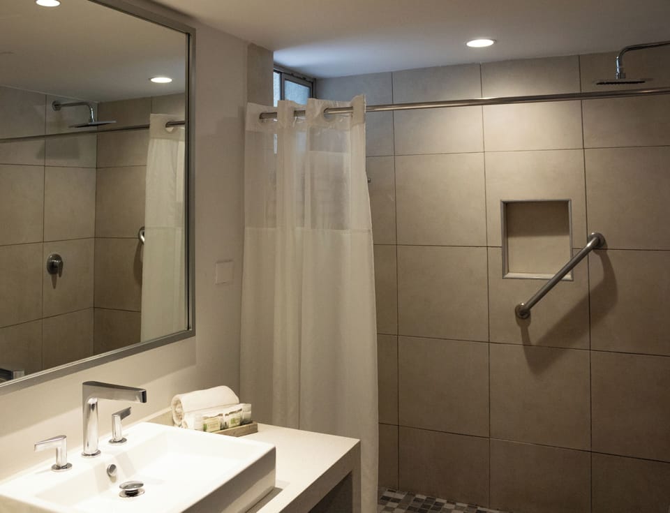 Junior Suite | Bathroom | Shower, hair dryer, towels, soap