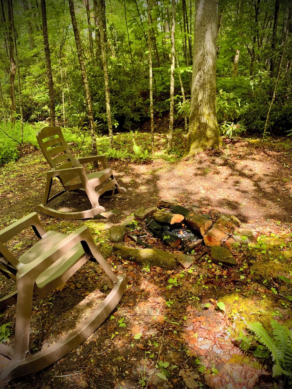 Creekside fire pit!