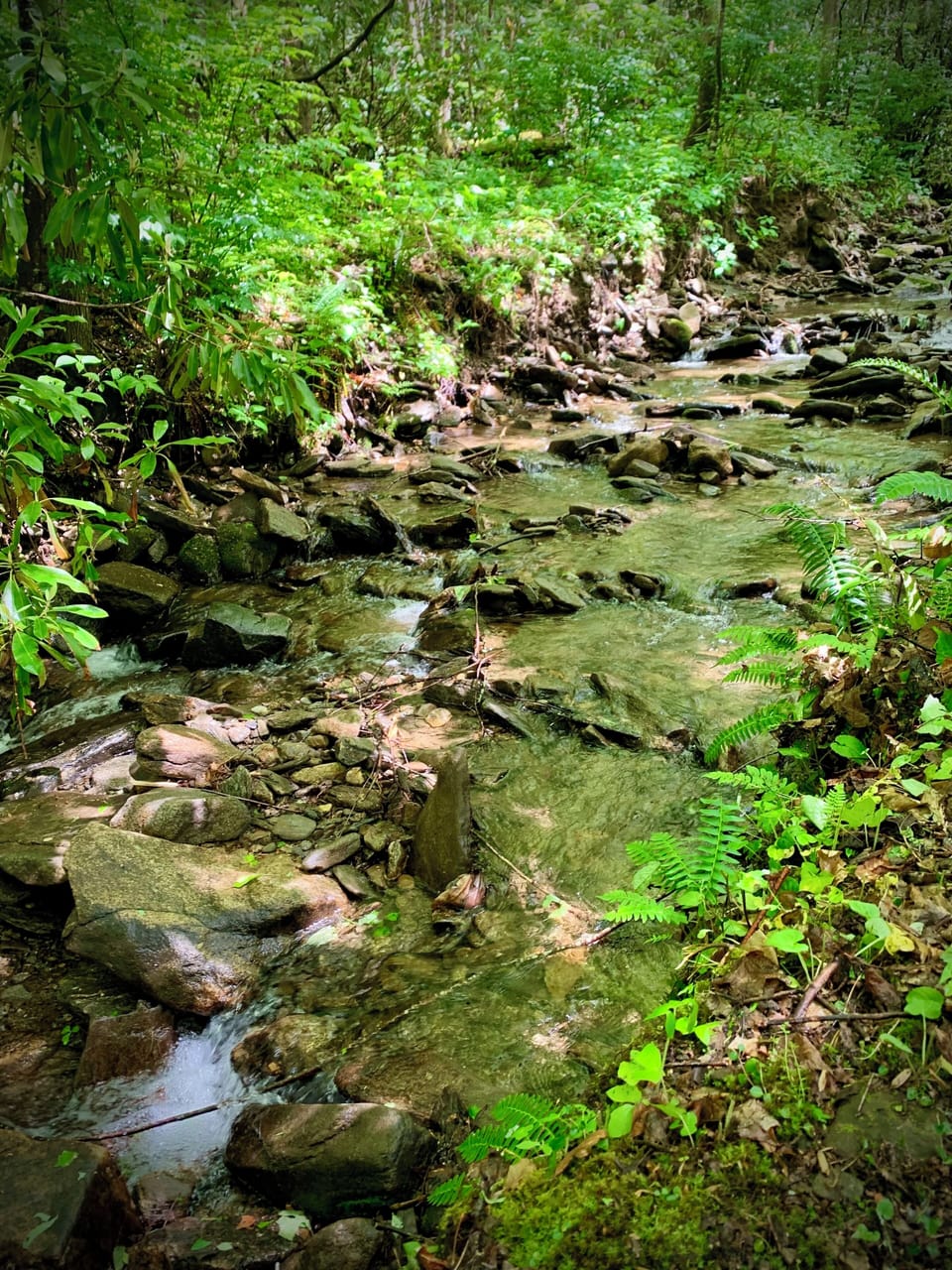 Listen to the rhythm of the stream!