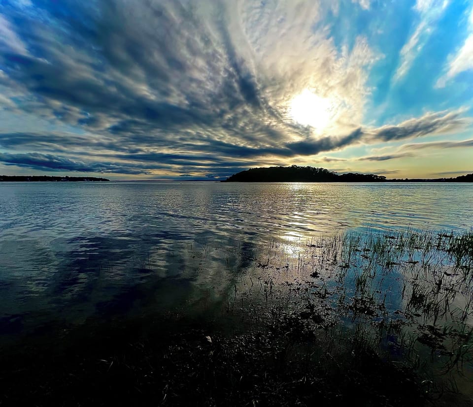 Little Bay Conservation Area near property 