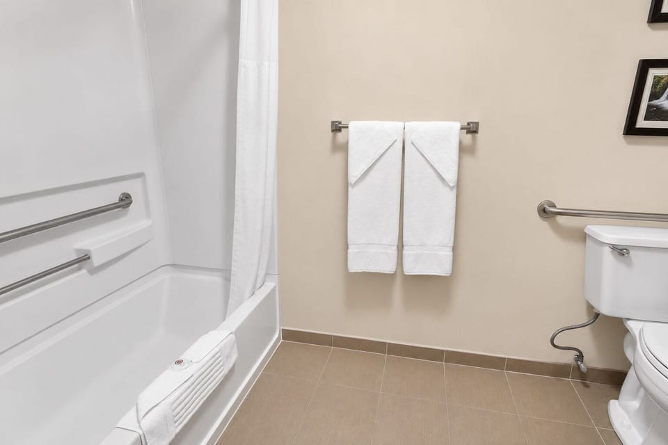 Room, 1 Queen Bed, Accessible, Non Smoking | Desk, iron/ironing board, cribs (free), WiFi (free)
