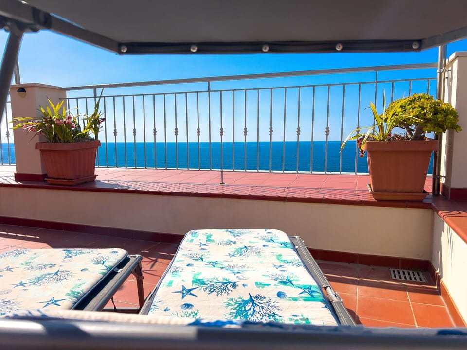 Balcony / Terrace / Patio, Scenic View