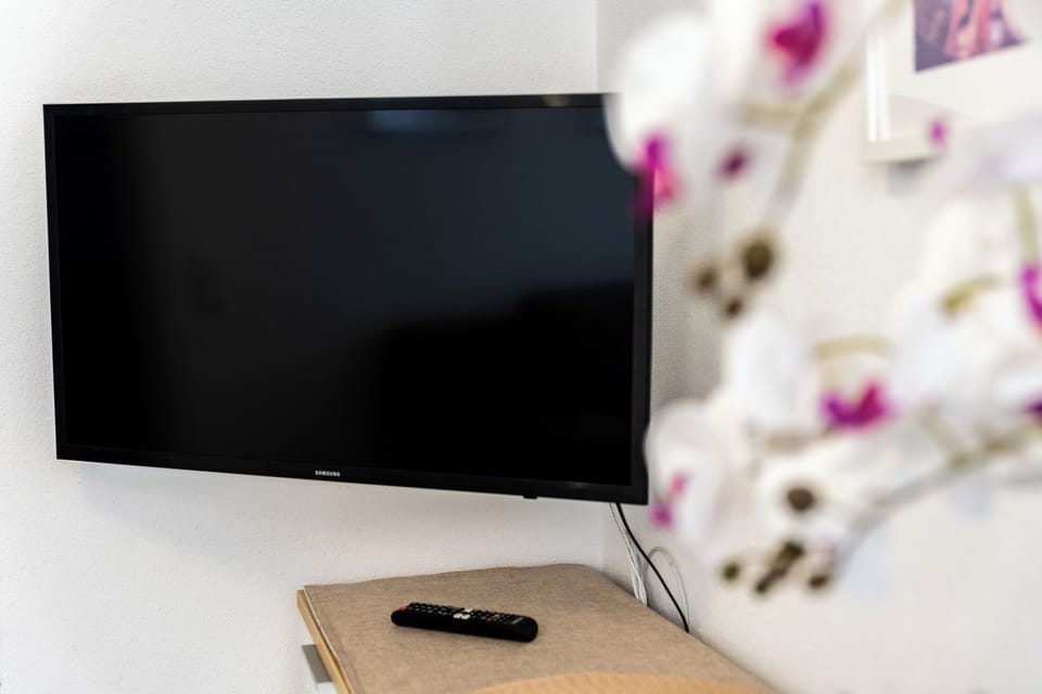 Television